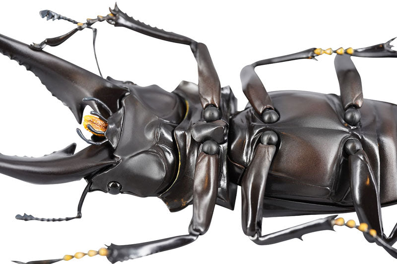 PRE-ORDER Revo Geo - Giraffe Stag Beetle