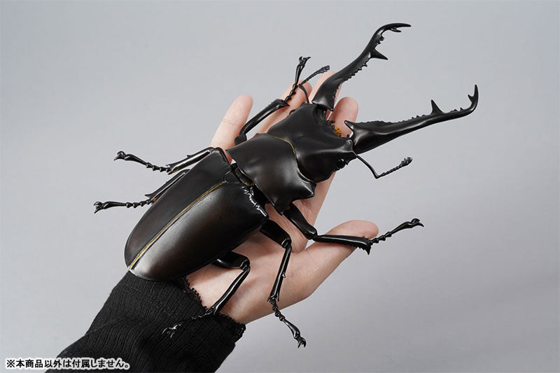 PRE-ORDER Revo Geo - Giraffe Stag Beetle
