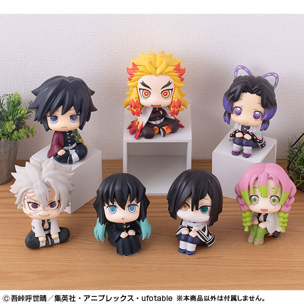 PRE-ORDER Look Up - Demon Slayer: Kimetsu no Yaiba - Muichiro Tokito