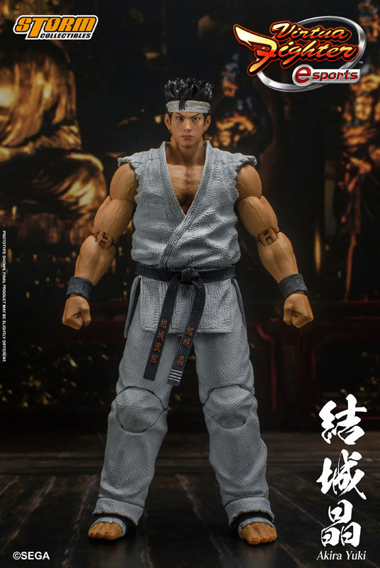 PRE-ORDER Virtua Fighter - Akira Yuki