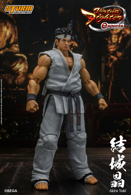 PRE-ORDER Virtua Fighter - Akira Yuki