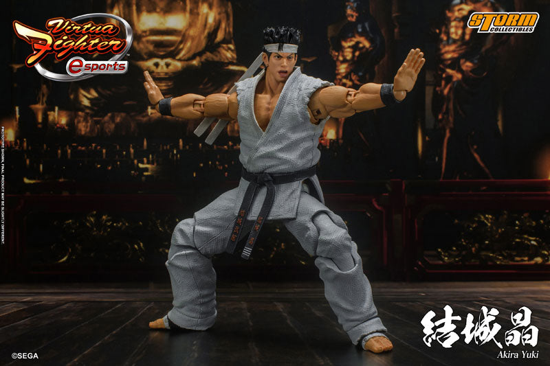 PRE-ORDER Virtua Fighter - Akira Yuki