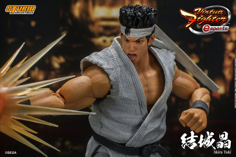 PRE-ORDER Virtua Fighter - Akira Yuki