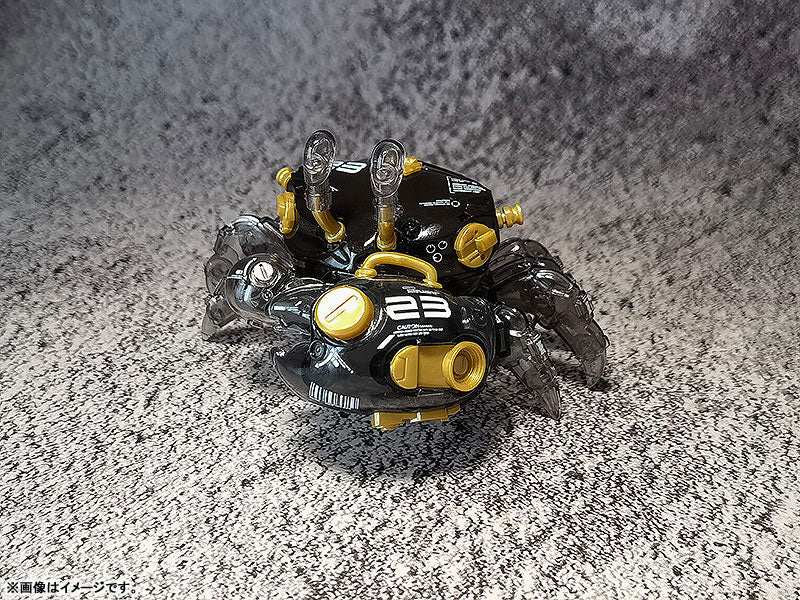 PRE-ORDER AQUACULTURE TANK 007: Fiddler Crab (Gold Black)