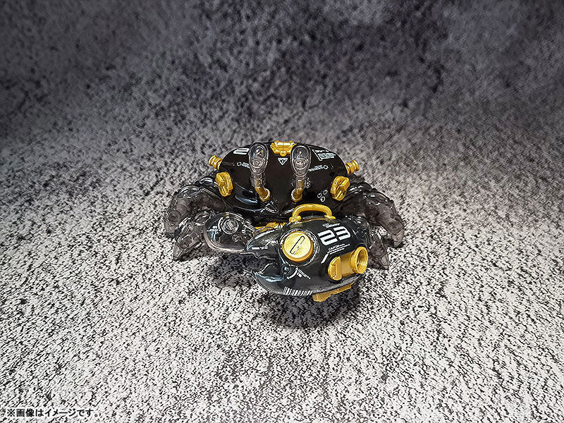 PRE-ORDER AQUACULTURE TANK 007: Fiddler Crab (Gold Black)