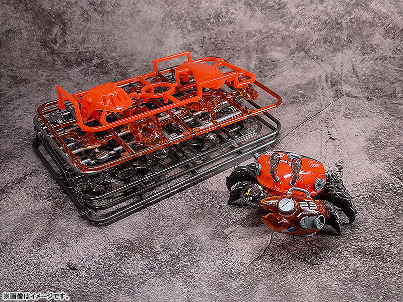 PRE-ORDER AQUACULTURE TANK 008: Fiddler Crab (Silver Red)