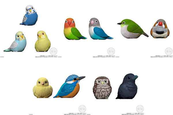 PRE-ORDER Tenori Friends 4 [Box of 12]