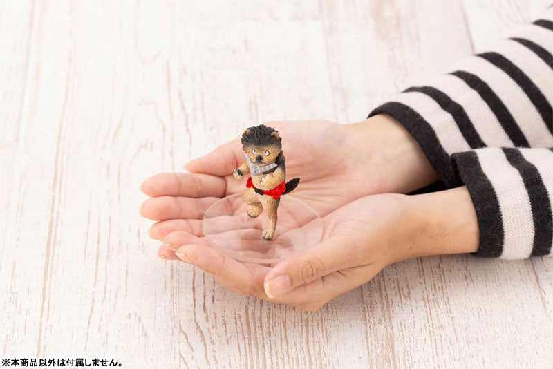 SPECIAL ORDER KemoColle My Hero Academia [Box of 6]