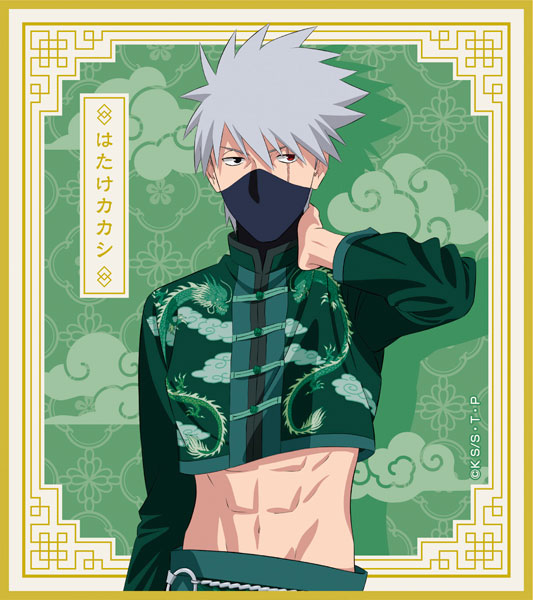 SPECIAL ORDER Naruto Shippuden New Illustration Mini Shikishi Collection: China Ver. [Box of 10] [JP]