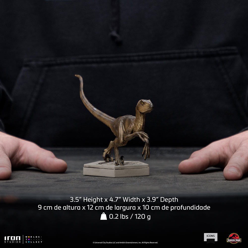 PRE-ORDER Jurassic Park Icons - Velociraptor B