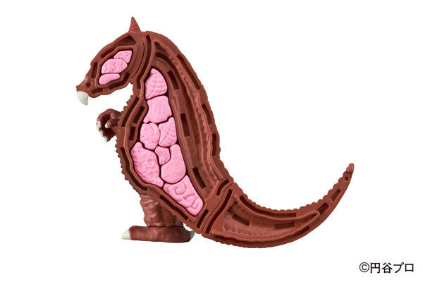 PRE-ORDER Anatomy Puzzle Fantasy - Ultraman - Gomora