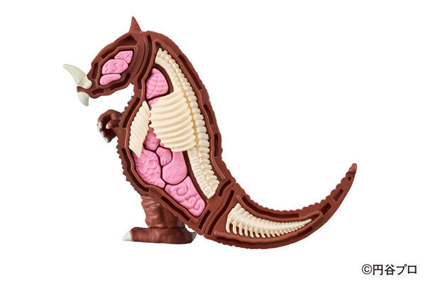 PRE-ORDER Anatomy Puzzle Fantasy - Ultraman - Gomora