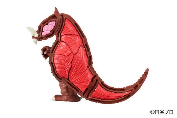 PRE-ORDER Anatomy Puzzle Fantasy - Ultraman - Gomora