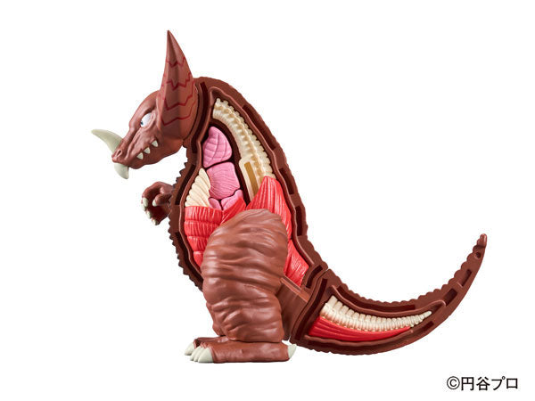 PRE-ORDER Anatomy Puzzle Fantasy - Ultraman - Gomora