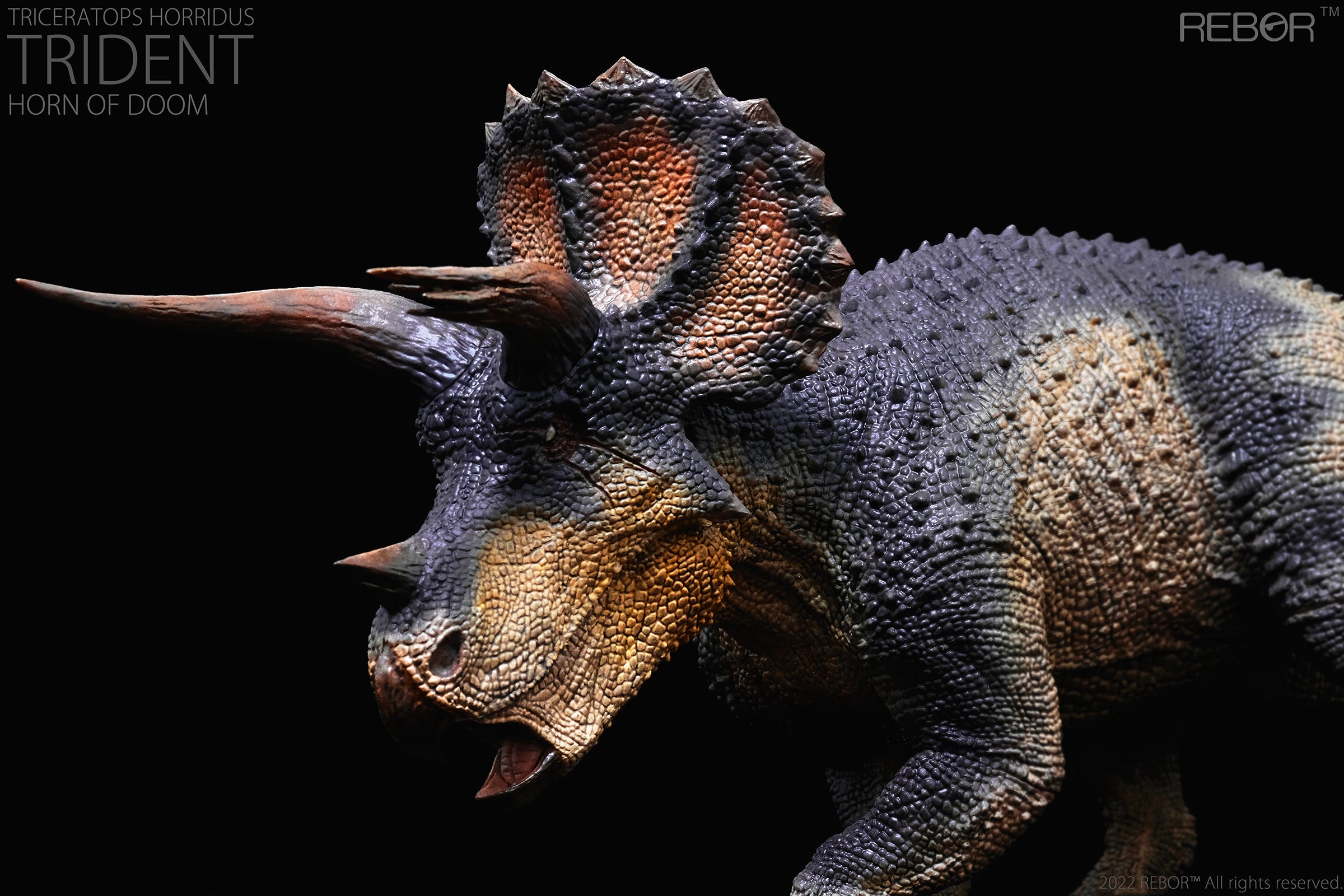 PRE-ORDER Alpha Male Triceratops Horridus: Trident Horn of Doom Ver. 1/35