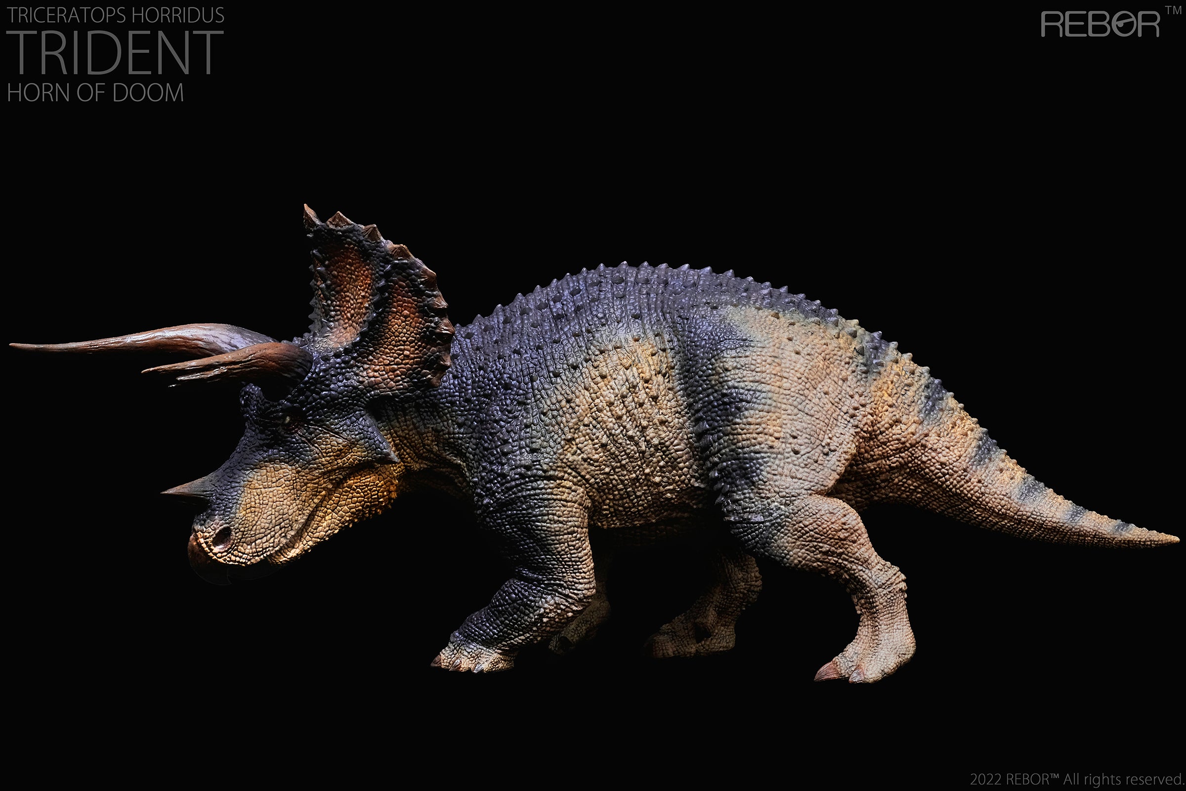 PRE-ORDER Alpha Male Triceratops Horridus: Trident Horn of Doom Ver. 1/35
