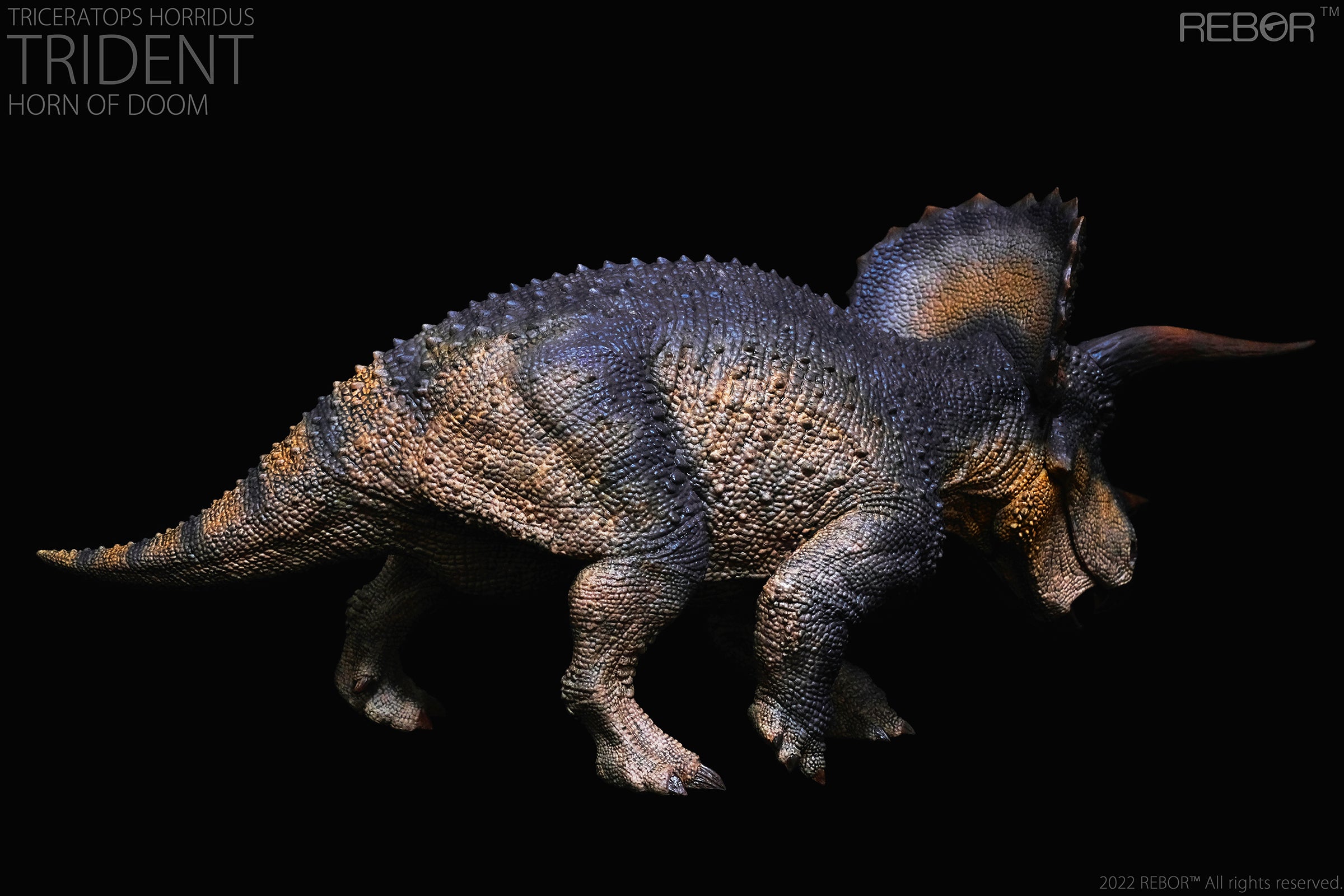 PRE-ORDER Alpha Male Triceratops Horridus: Trident Horn of Doom Ver. 1/35