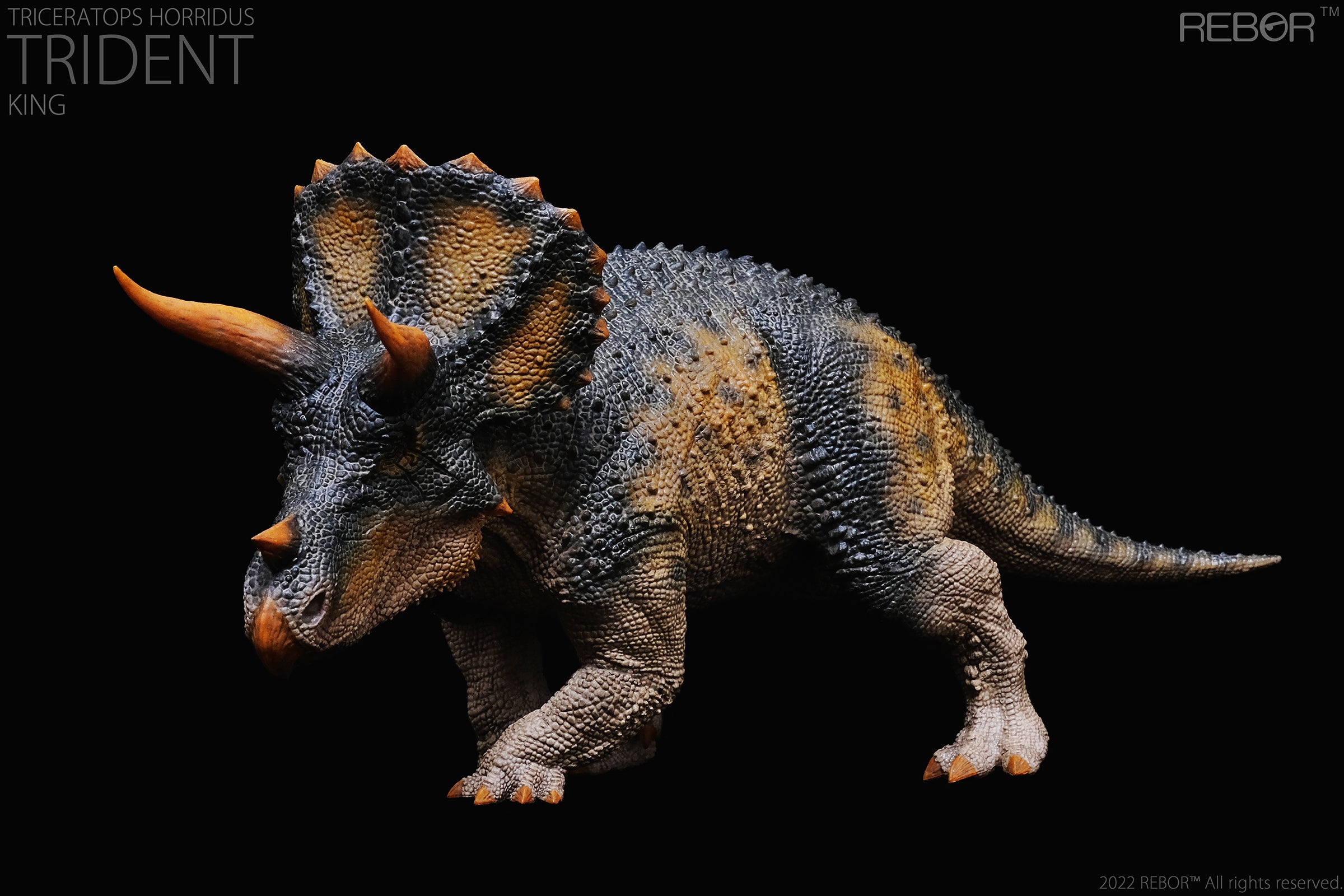 PRE-ORDER Alpha Male Triceratops Horridus: Trident King Ver. 1/35