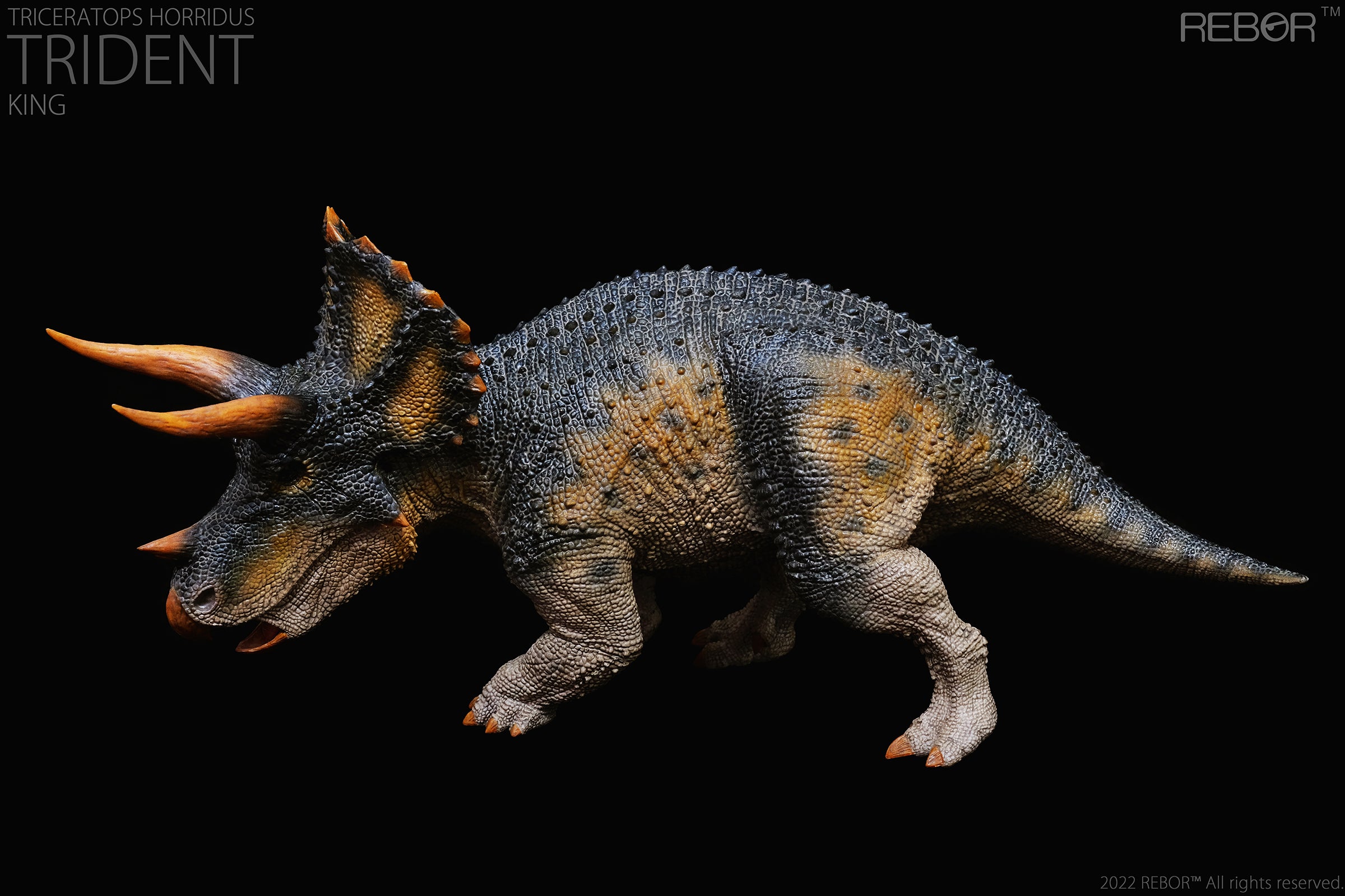 PRE-ORDER Alpha Male Triceratops Horridus: Trident King Ver. 1/35