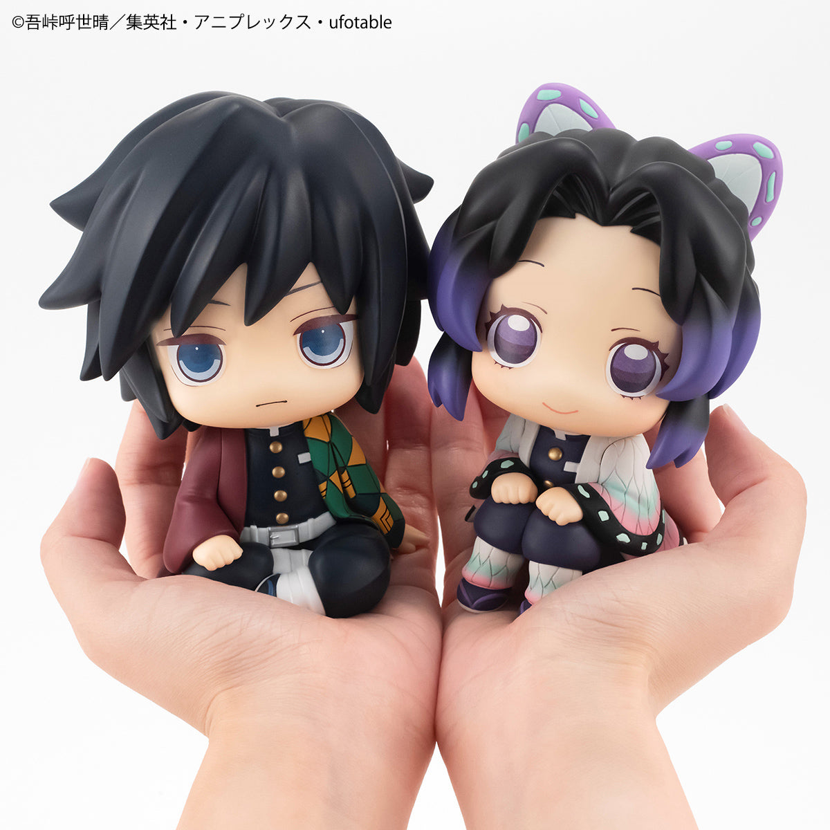 PRE-ORDER Lookup - Demon Slayer: Kimetsu no Yaiba - Giyu Tomioka & Shinobu Kocho Set [EXCLUSIVE]
